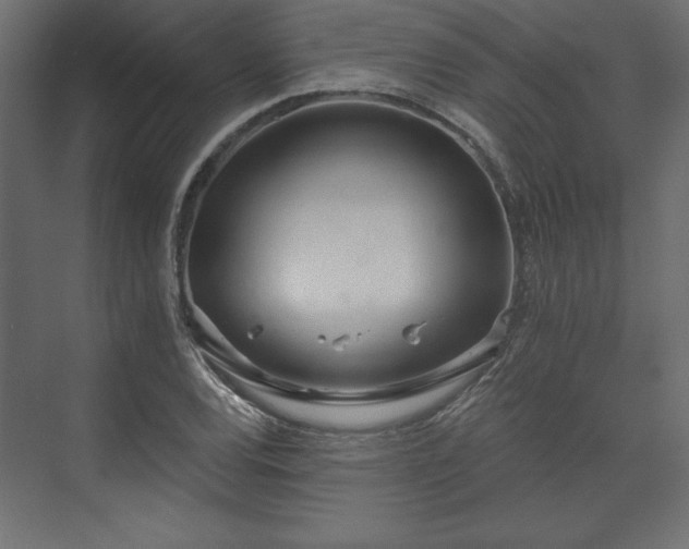 X0000073991120200608281307