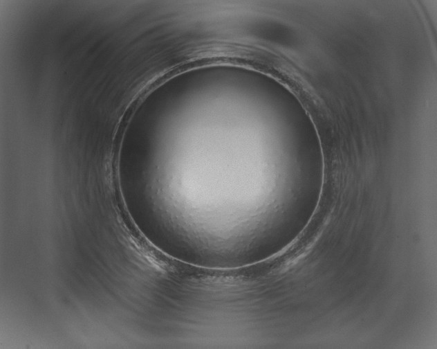 X0000073991121200608281307