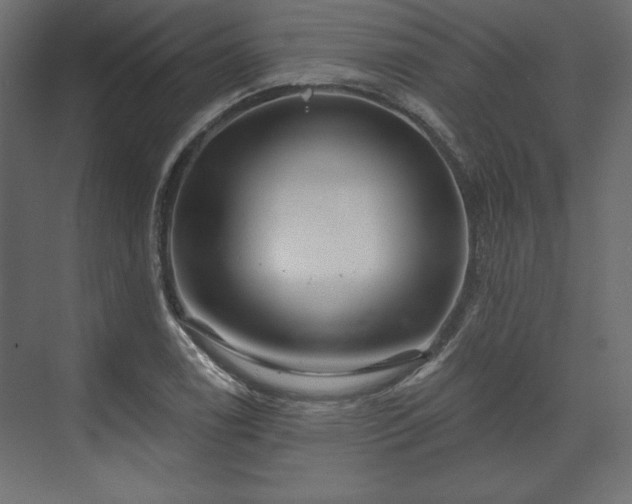 X0000073991122200608281307