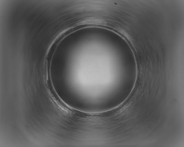 X0000073991123200608281307