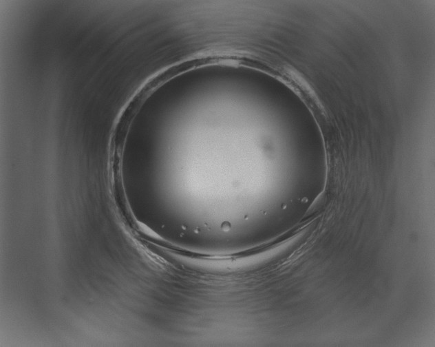 X0000073991124200608281307