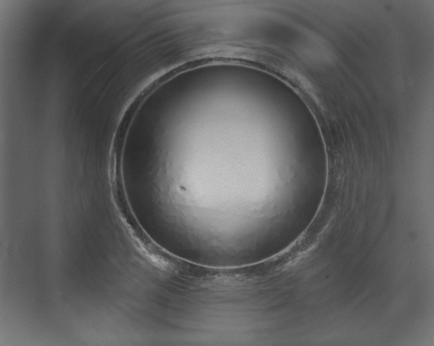 X0000073991125200608281307