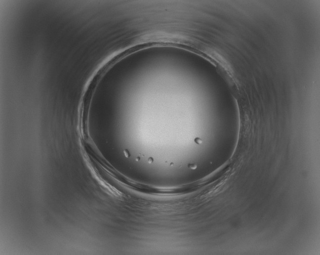 X0000073991128200608281307