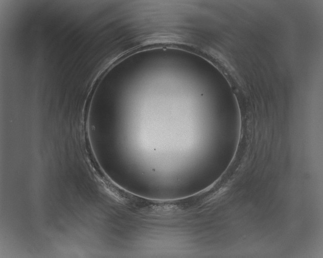 X0000073991129200608281307