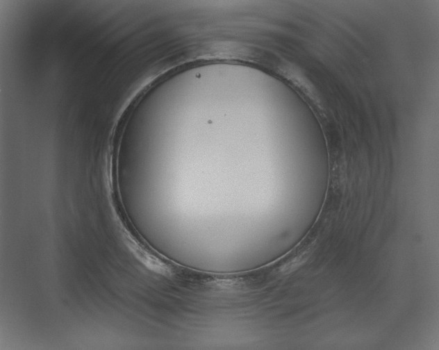 X0000073991130200608281307