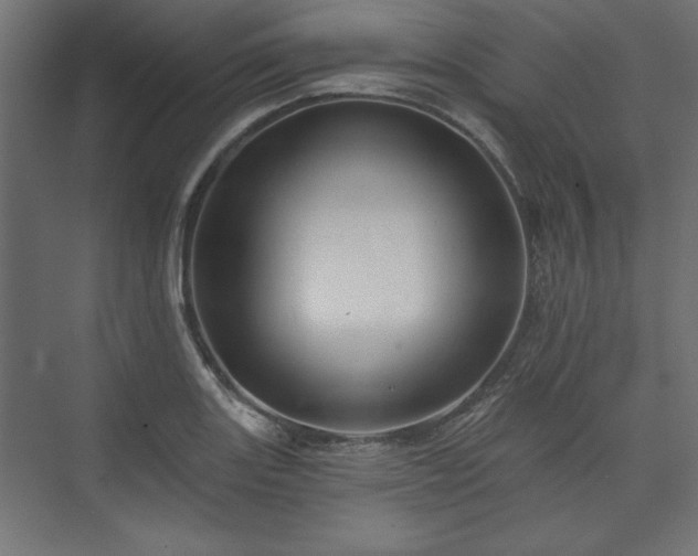 X0000073991131200608281307