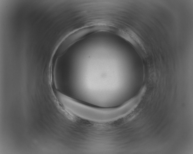 X0000073991132200608281307