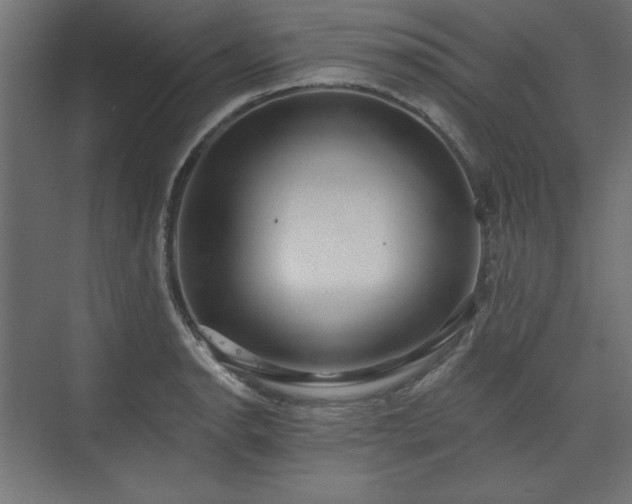 X0000073991134200608281307