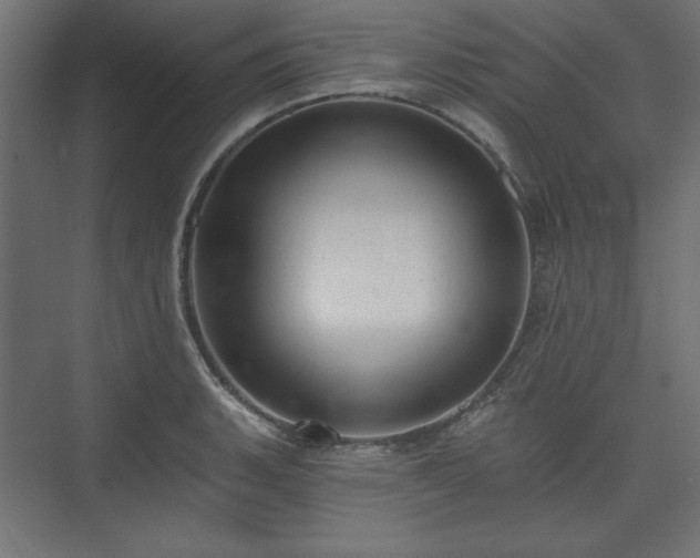 X0000073991135200608281307