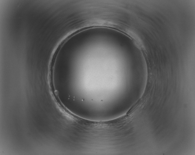 X0000073991136200608281307