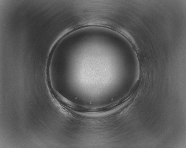 X0000073991138200608281307