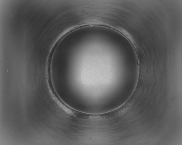 X0000073991142200608281307