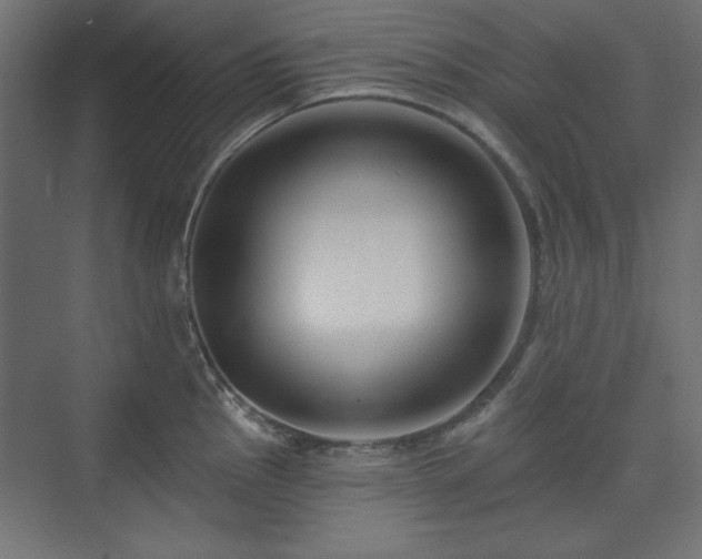 X0000073991145200608281307