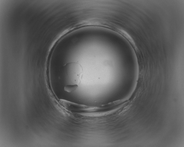 X0000073991146200608281307