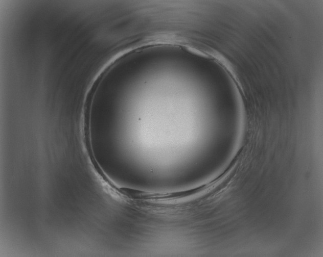 X0000073991147200608281307