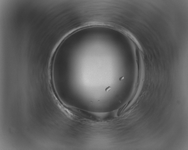 X0000073991148200608281307