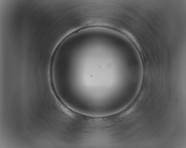 X0000073991149200608281307