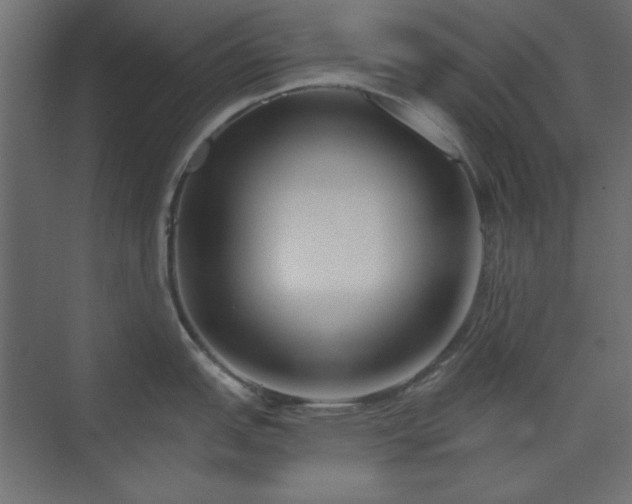 X0000073991151200608281307