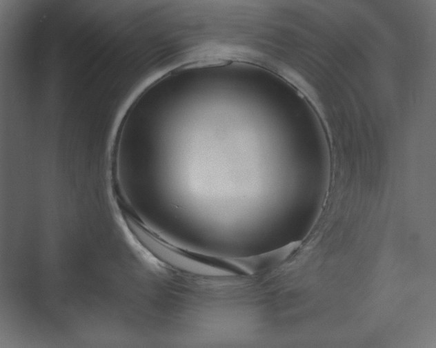 X0000073991152200608281307