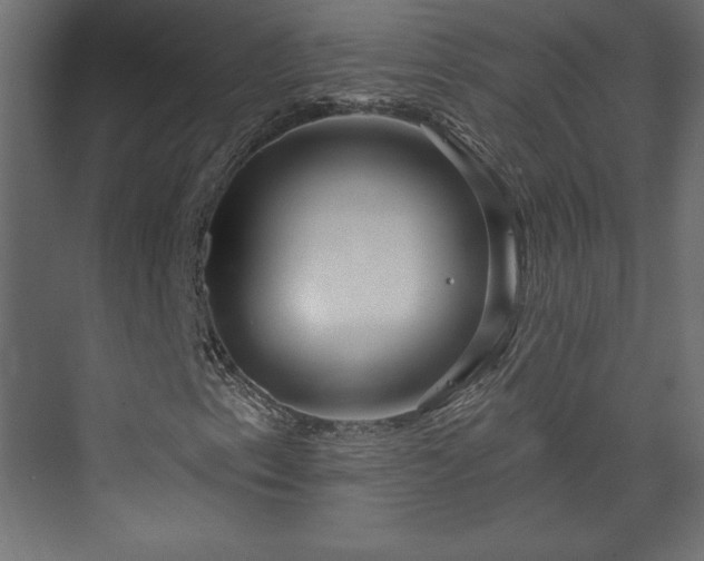 X0000073991153200608281306