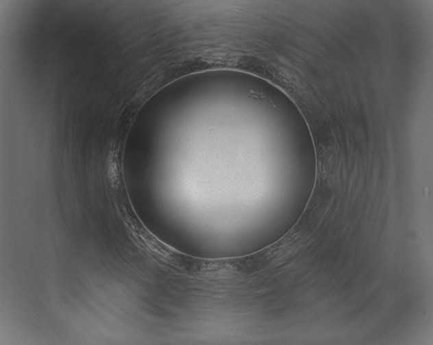 X0000073991154200608281306