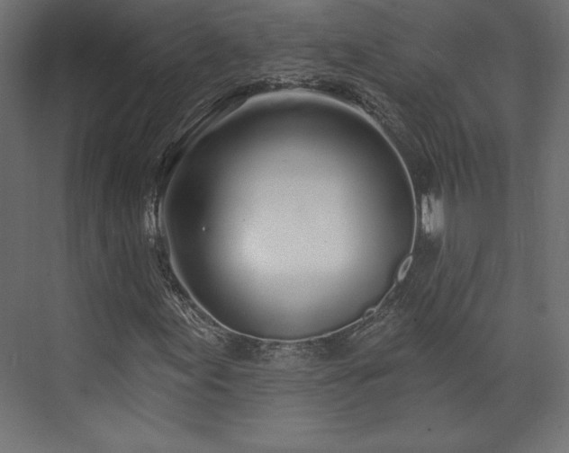 X0000073991155200608281306