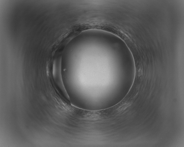 X0000073991156200608281306