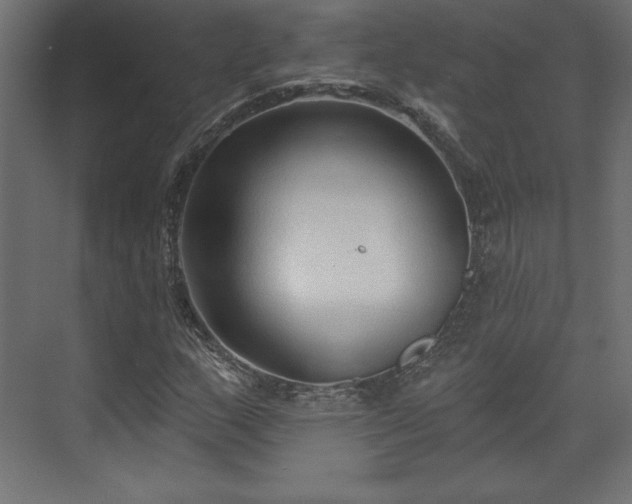 X0000073991159200608281306