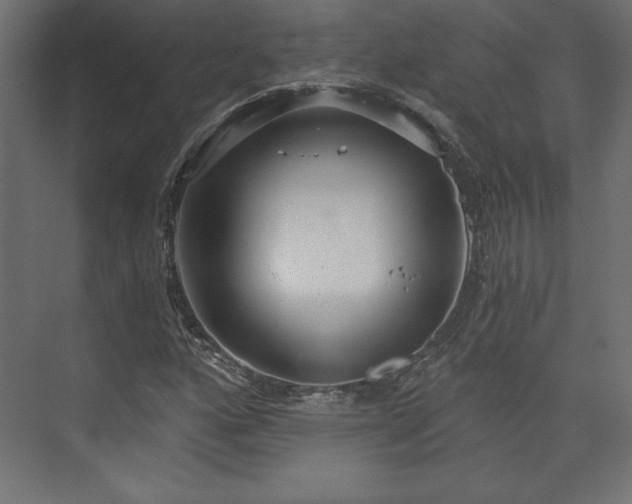 X0000073991160200608281306