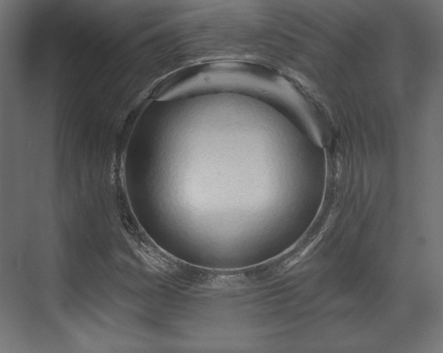 X0000073991161200608281306