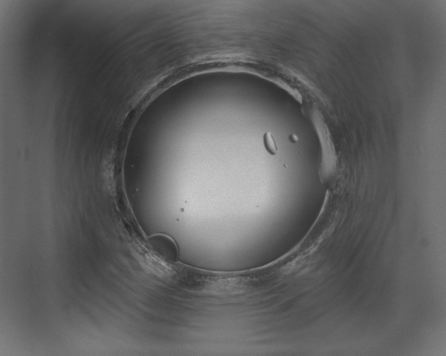 X0000073991162200608281306