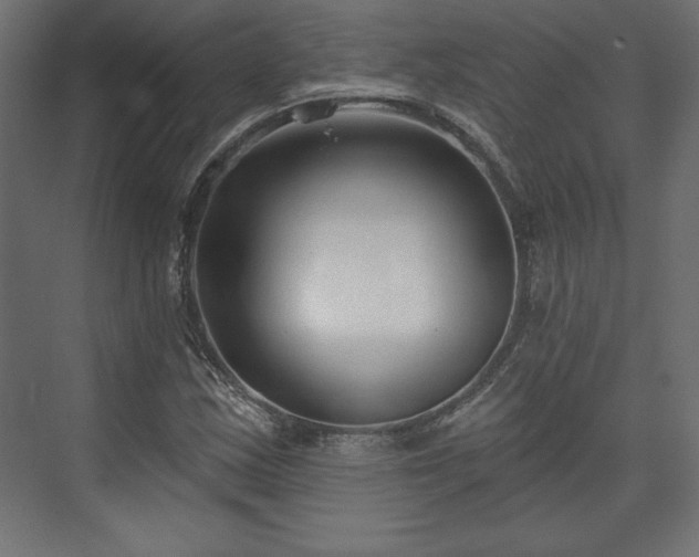 X0000073991163200608281306