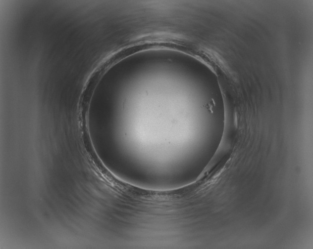 X0000073991164200608281306