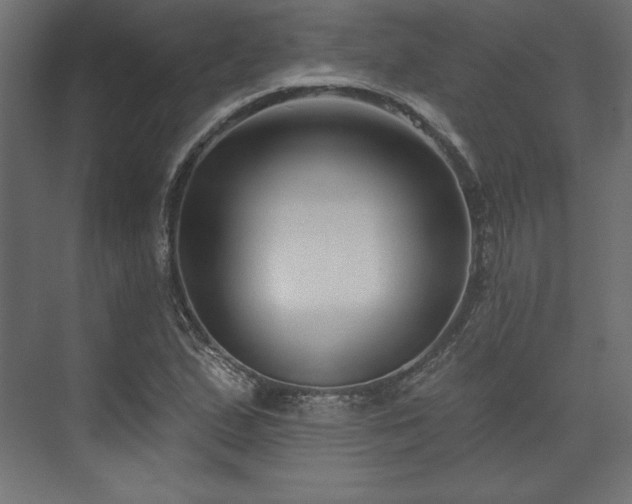 X0000073991167200608281306