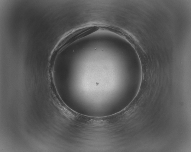 X0000073991168200608281306