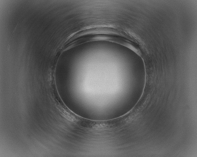 X0000073991169200608281306