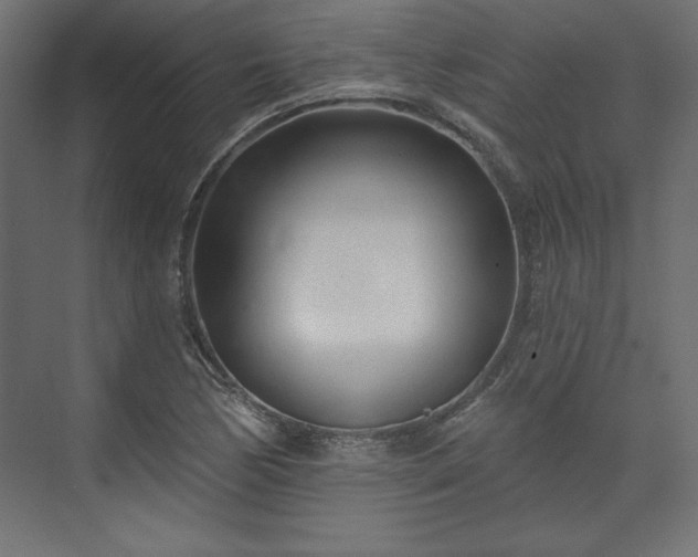 X0000073991170200608281306