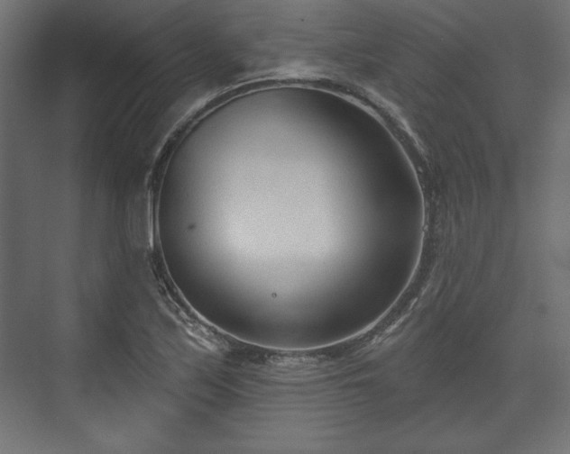 X0000073991171200608281306