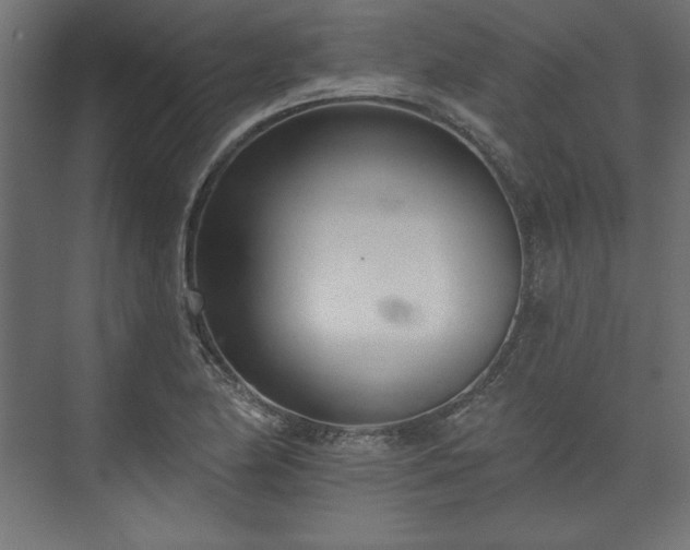 X0000073991174200608281306