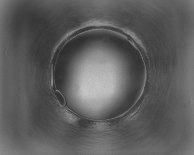 X0000073991175200608281306