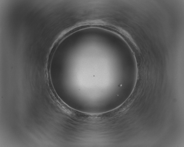 X0000073991176200608281306