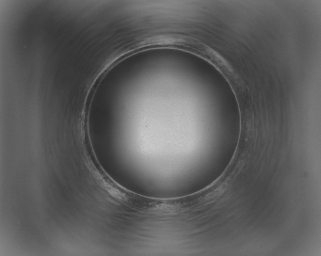 X0000073991178200608281306