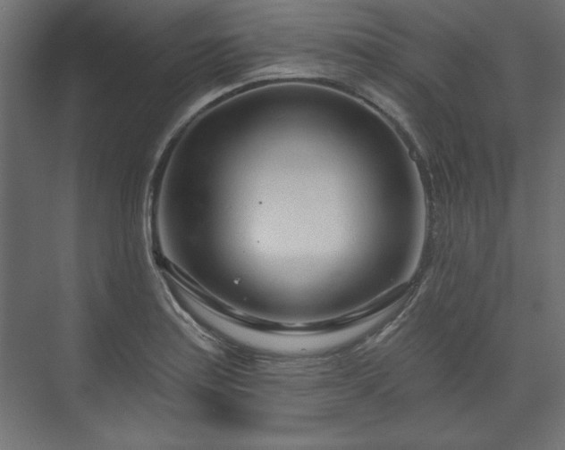 X0000073991179200608281306