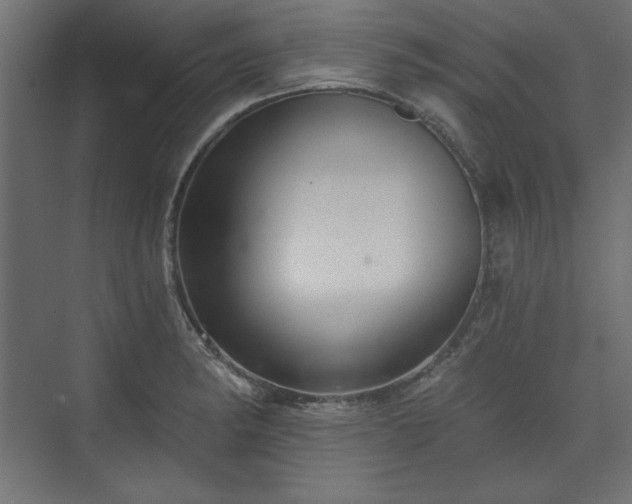 X0000073991182200608281306