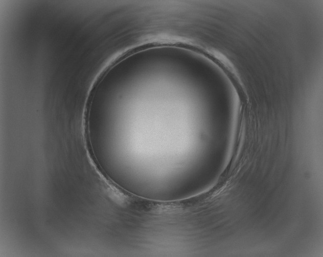 X0000073991183200608281306