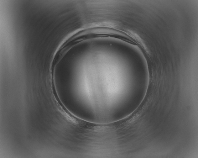 X0000073991184200608281306