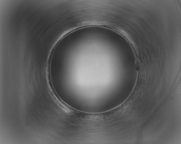 X0000073991187200608281306