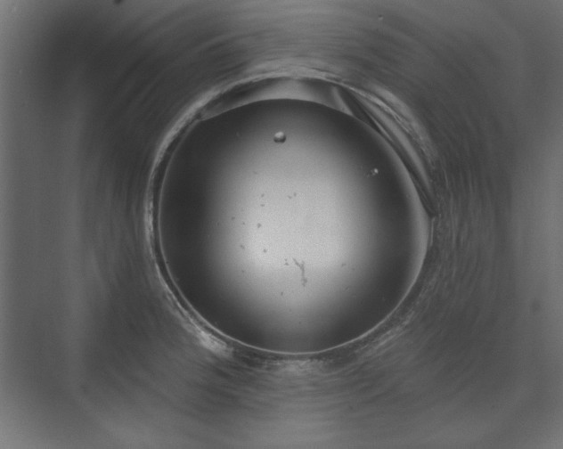 X0000073991188200608281306