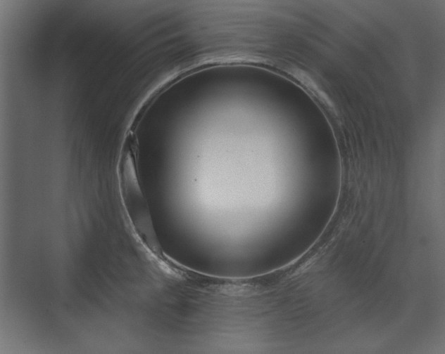 X0000073991189200608281306