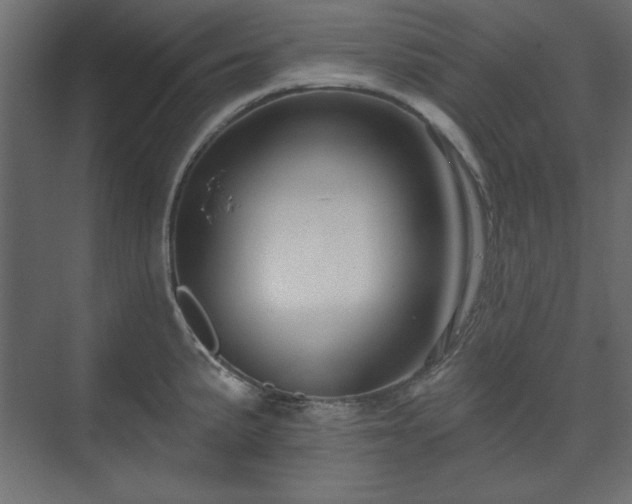 X0000073991191200608281306